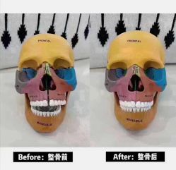 -LUNA皮相美·骨相美高级美感