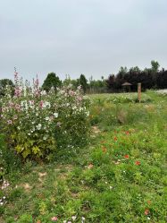 -DORA kids 朵拉儿童摄影花园店