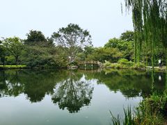 -西湖外事游船(花港观鱼码头)