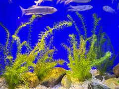 -上海海洋水族馆