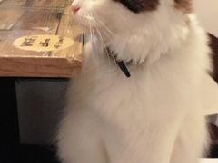 -小时光咖啡馆(北锣鼓巷店)