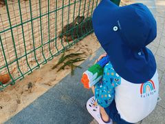 -三亚海棠湾万丽度假酒店