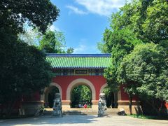 -灵谷景区