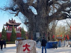 -大槐树寻根祭祖园