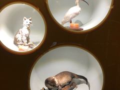 -陕西自然博物馆