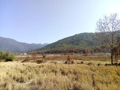 -塔川景区