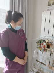 -瑞晨曦催乳产后健康(枣园店)