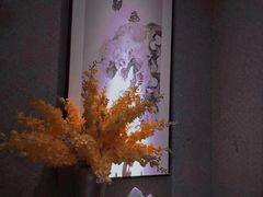 -新紫霞养生·影院足道·SPA(金山区店)