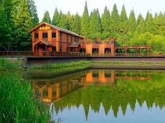 -黄海国家森林公园