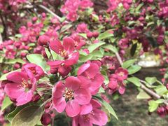 -北京动物园-畅观楼