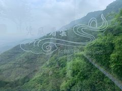 -缙云山景区
