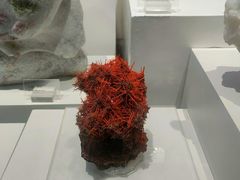 -重庆自然博物馆(新馆)