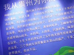 -贵凤凰贵州米粉(望京店)