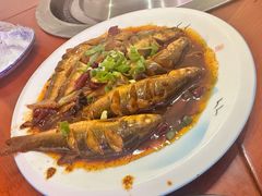 -巧婆婆特色东北菜·铁锅炖