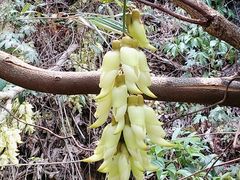 -古龙峡云天玻霸
