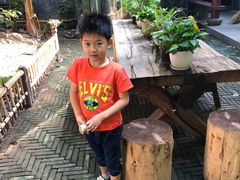 -西湖外事游船(花港观鱼码头)