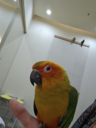 -Moni星球萌宠·小马宝莉·灵蛇·高端高阶全萌宠互动体验俱乐部(红豆国际广场店)