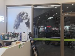 -瑞鹏宠物医院·微创内窥镜·骨外科·牙科(翠竹分院)