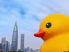 -深圳人才公园