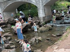 -重庆彩云湖湿地公园