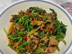 香菜炒牛肉-壹盏灯(蚂蚁工房店)