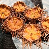 广州探店/日式放题/水濑日料