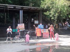 -金盆阿嬷香菇茶叶蛋(玄光店)