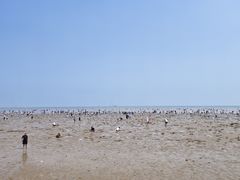 -天津东疆湾沙滩景区