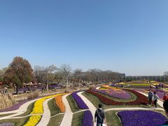 -南通洲际绿博园