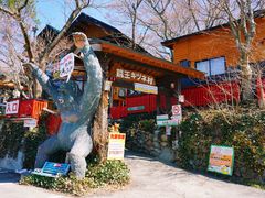 -宫城藏王狐狸村