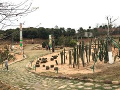 -东莞植物园
