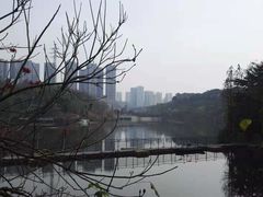 -重庆彩云湖湿地公园