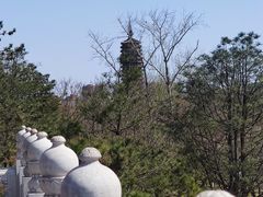 -西海子公园