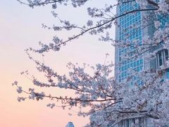 -复旦大学本部-食堂