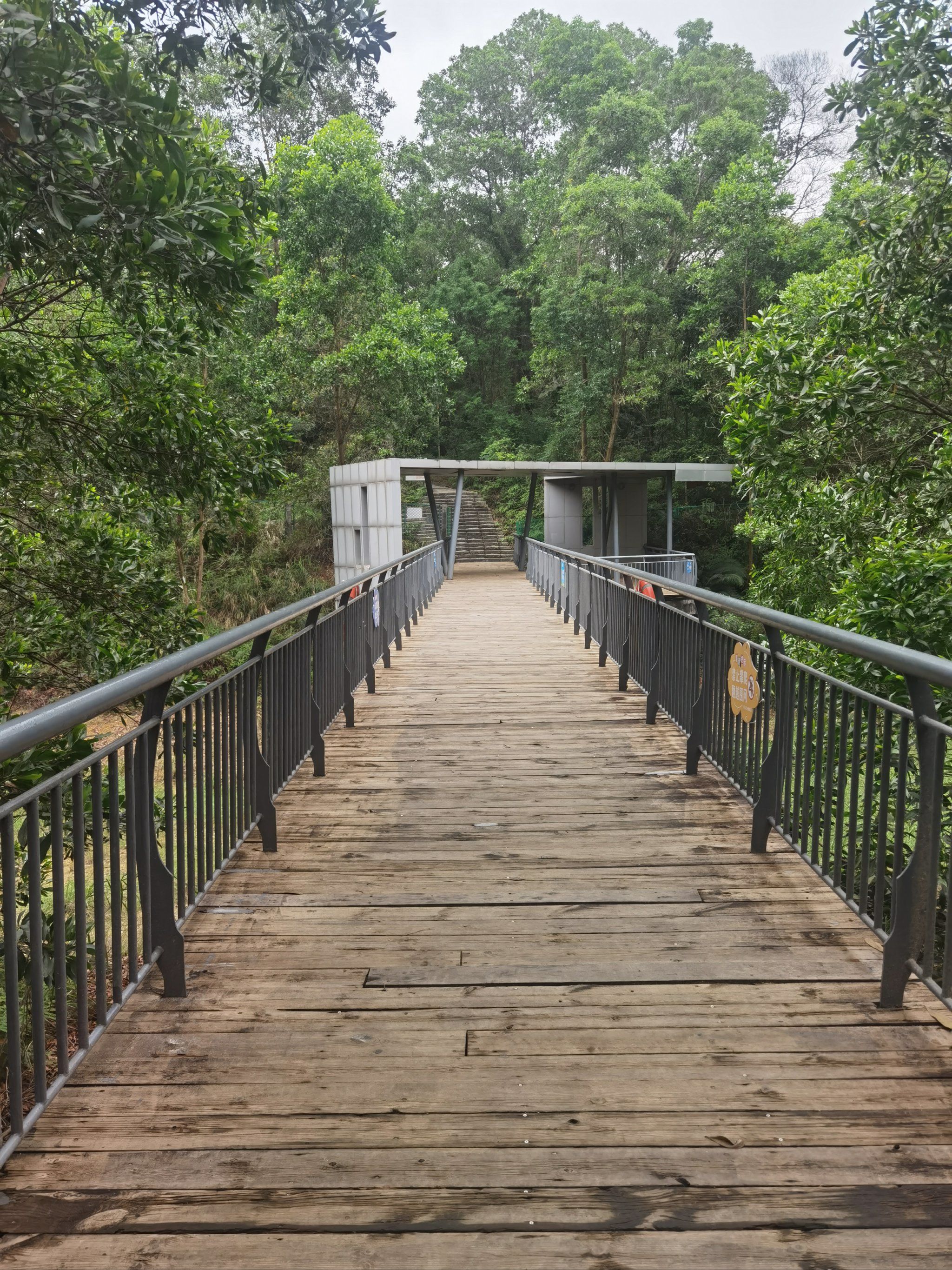 天天领红包 这个地方是在聚龙山公园,不