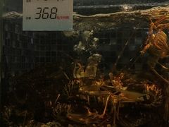 水产区-金满楼(天河中路店)