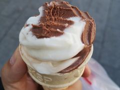 -蒙醇鲜酿酸奶