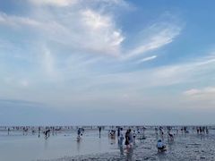 -南汇新城海滩