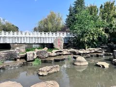 -洛龙公园