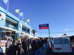 -悉尼鱼市场