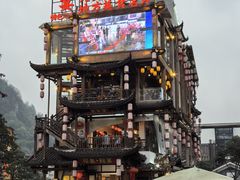 -印象鲵宴·张家界地标美食名片(溪布街店)