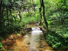 -杭州半山国家森林公园