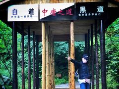 -青峰峡国家森林公园