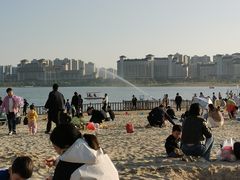 -九龙湖公园