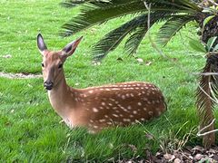 -不觉晓CAMPING(上海迪士尼营地店)