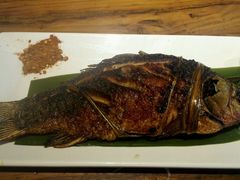 -茶花妹子云南餐厅(北大店)