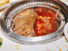 鸳鸯锅底-蜀留香火锅(西南角店)