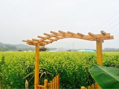 iphone_upload_pic-盈香心动乐园