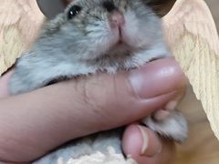 -乐宠宠物店(世纪金源店)