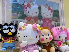 -安吉Hello Kitty乐园